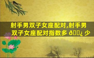 射手男双子女座配对,射手男双子女座配对指数多 🌿 少